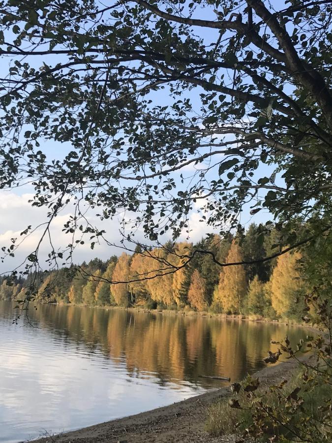 Dum Na Lipne Villa Lipno nad Vltavou Buitenkant foto