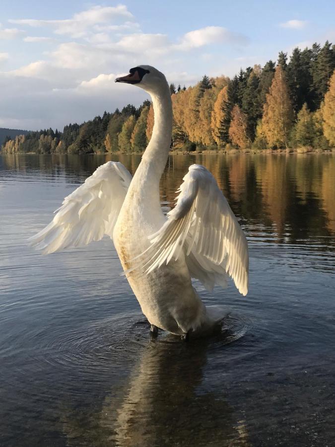 Dum Na Lipne Villa Lipno nad Vltavou Buitenkant foto