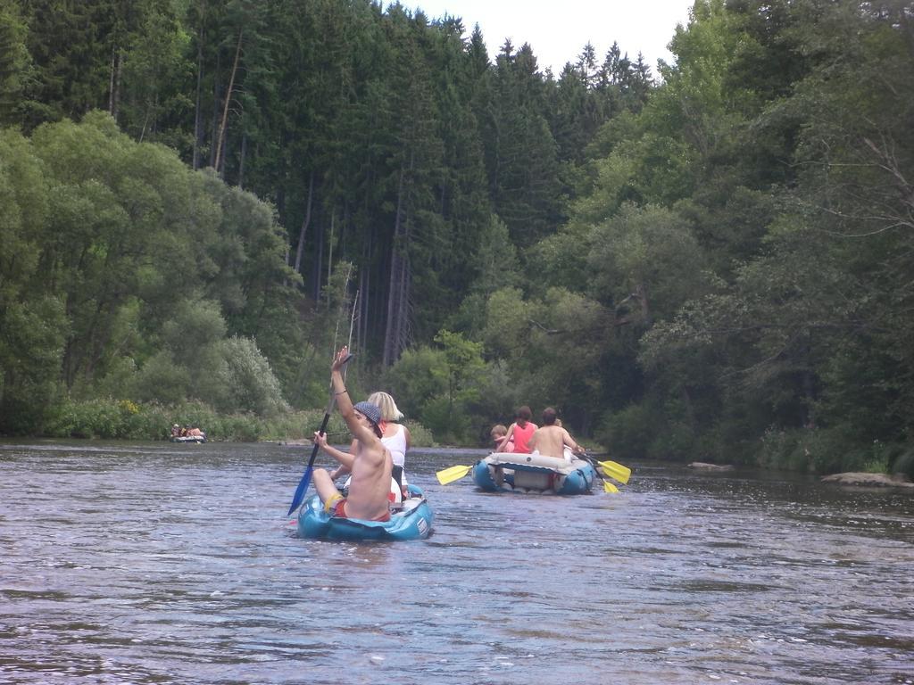 Dum Na Lipne Villa Lipno nad Vltavou Kamer foto