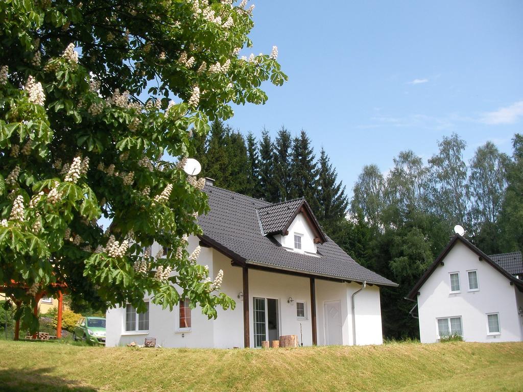 Dum Na Lipne Villa Lipno nad Vltavou Kamer foto